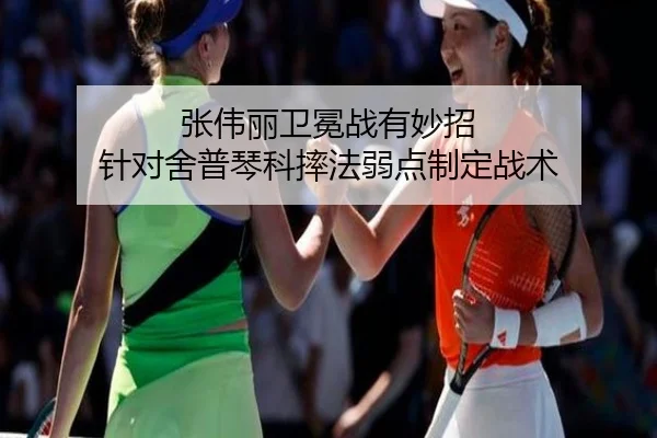 张伟丽卫冕战有妙招 针对舍普琴科摔法弱点制定战术